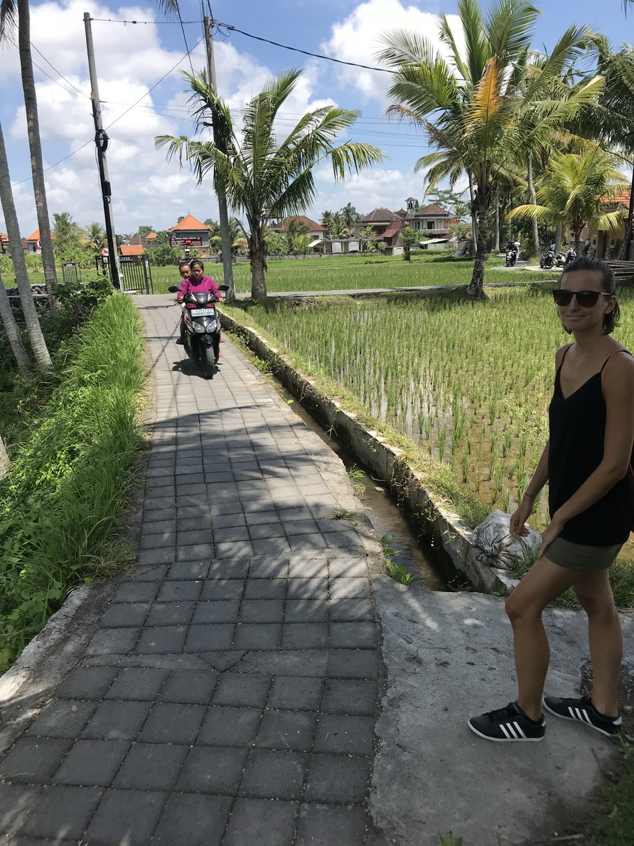 Motorozás a rizsöldeken - Ubud