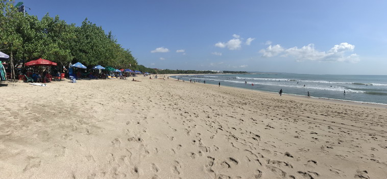 Bali beach life 1