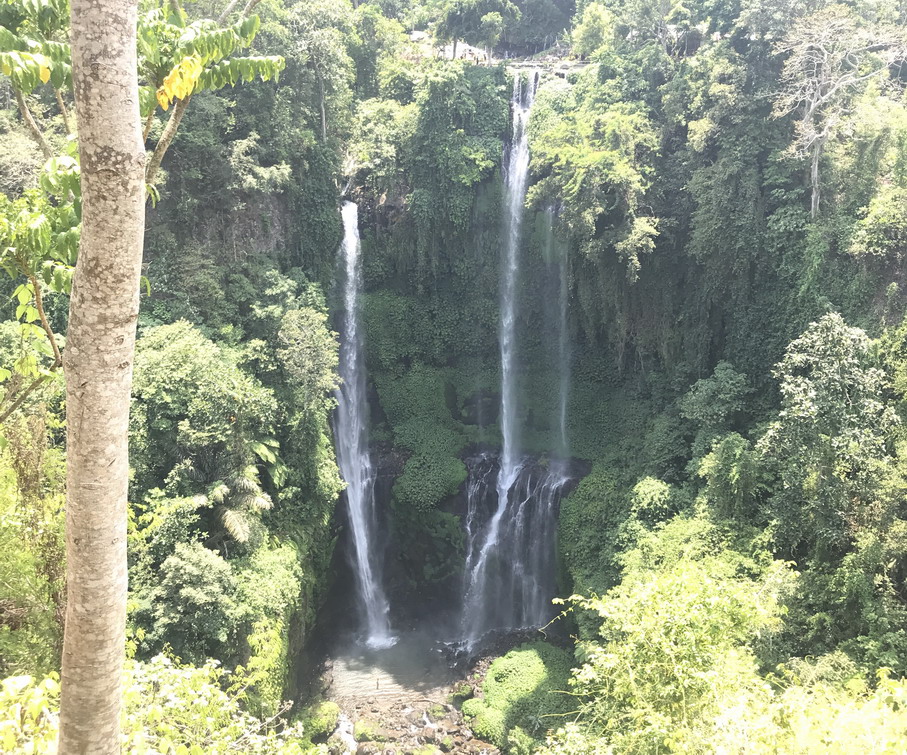 Bali Sekumpul vízesés