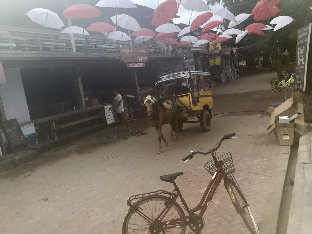 Gili Trawangan - lovaskocsi - Bali